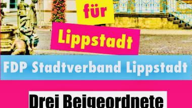 Liberale fordern drei Beigeordnete für Lippstadt